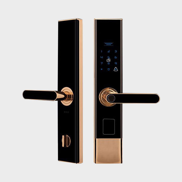 B53Smart lock